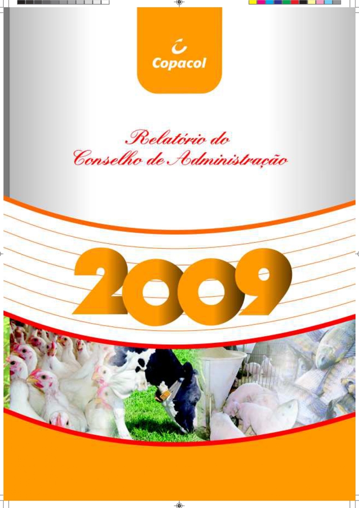 Relatório Anual 2009