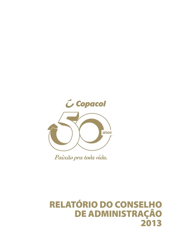 Relatório Anual 2013