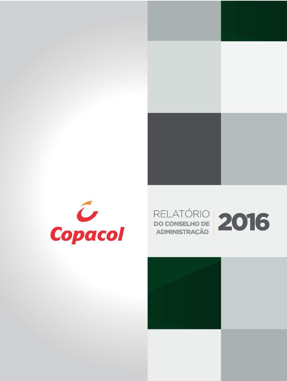 Relatório Anual 2016